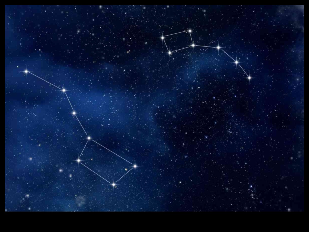 Navigācija Nova: Jūsu ceļvedis jaunām robežām