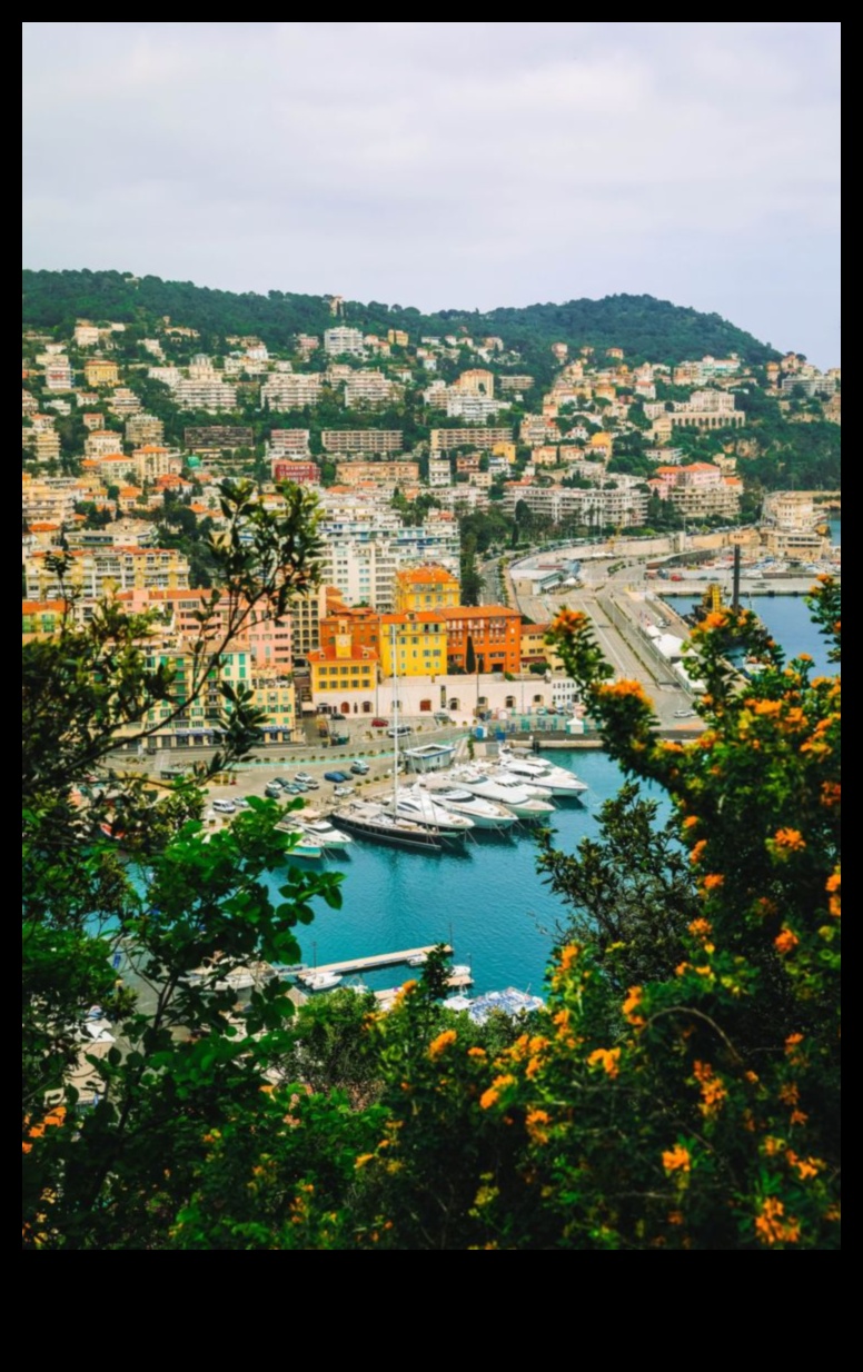 Wanderer's Wonderland: būtisks ceļotāja pavadonis