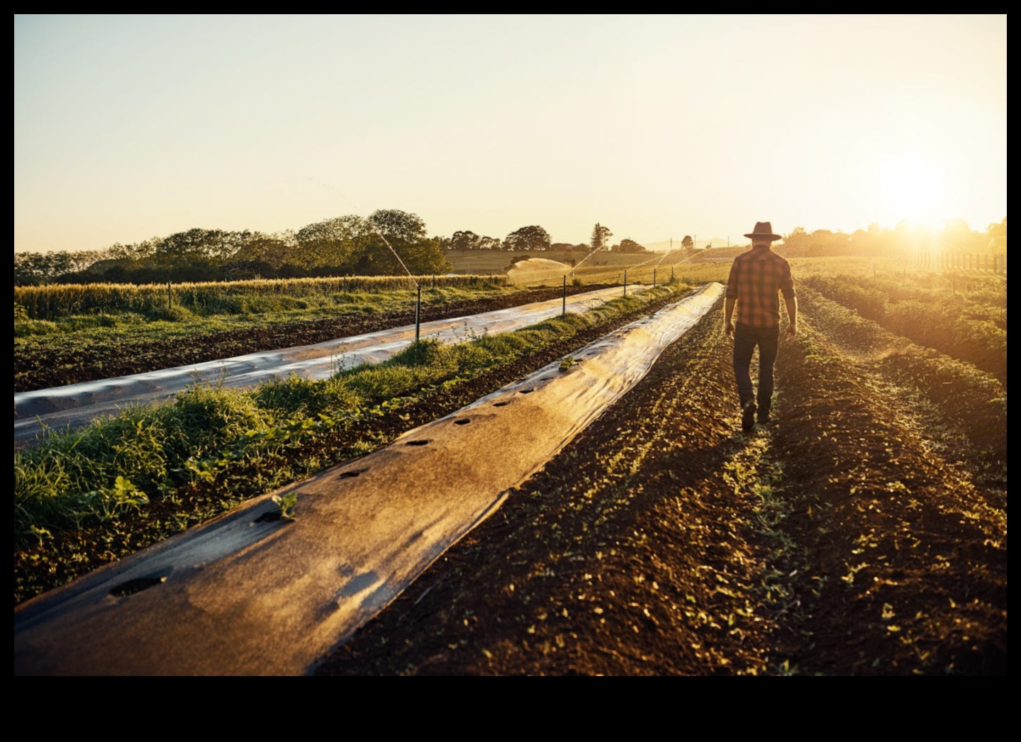 Kā lauksaimniecības ainavas mainās visu sezonu laikā?