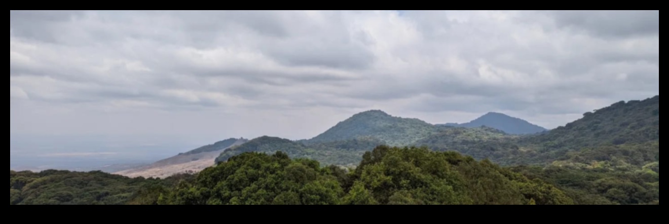 Bioloģiskās daudzveidības dārgumi: aizsargājamās teritorijas visā pasaulē