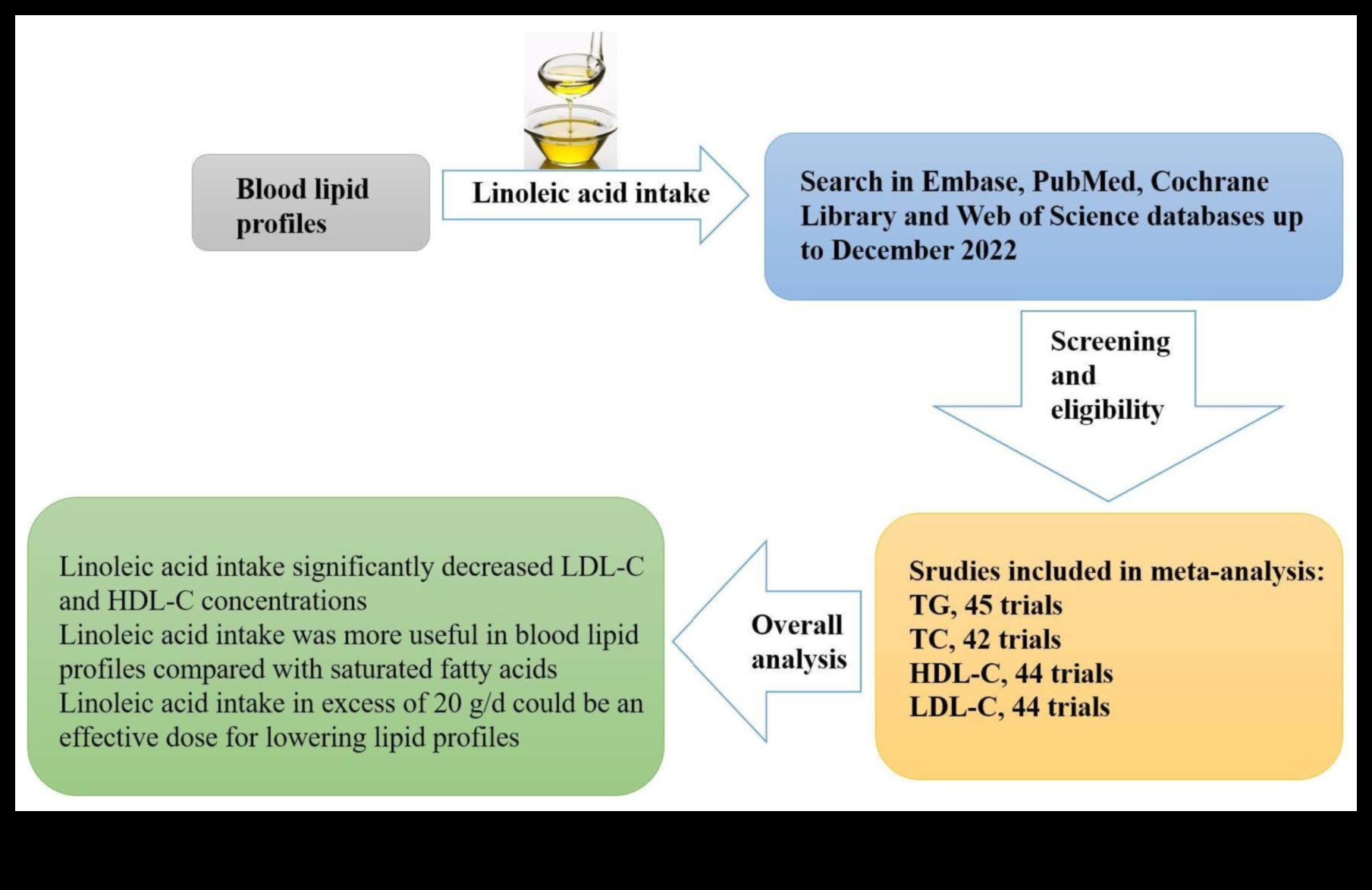 Dzīvesveida diētas un asins lipīdu profili: visaptverošs skatījums