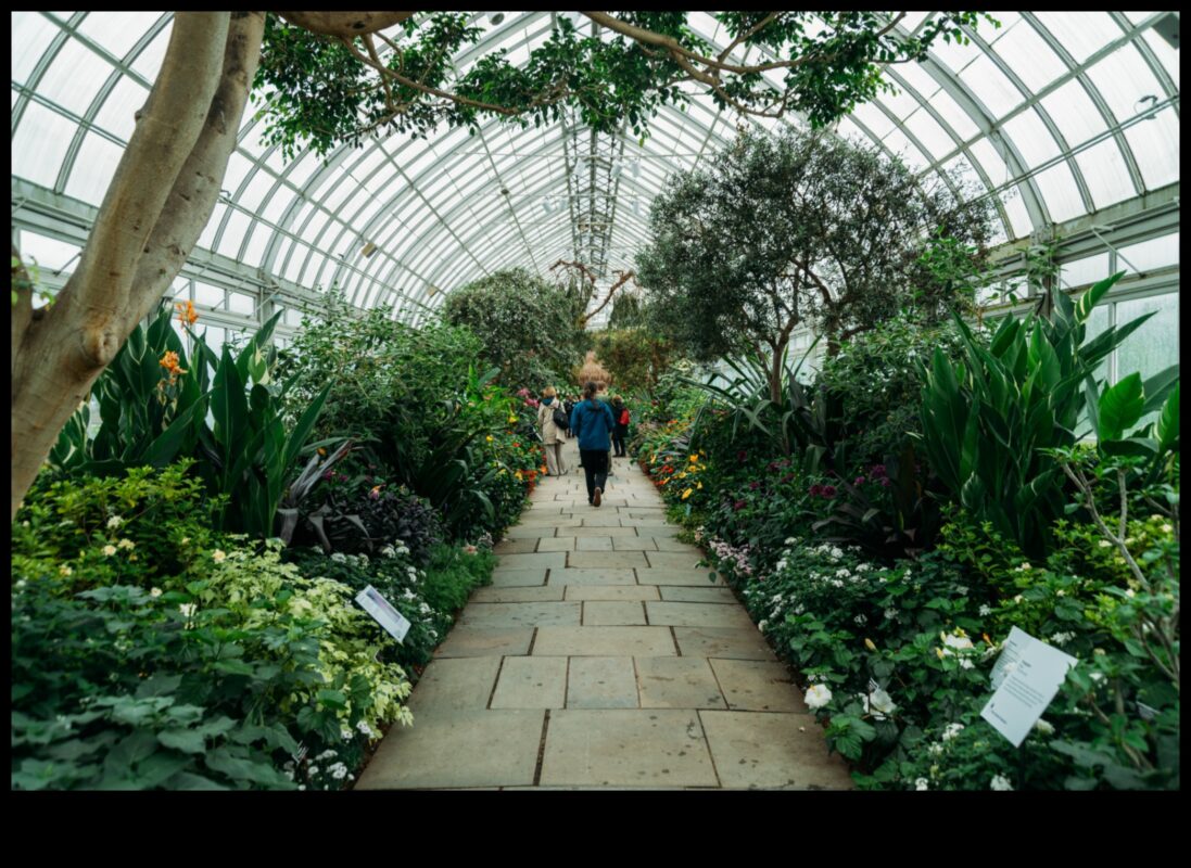 Zaļie brīnumi: dārzu un zaļo zonu no jauna atklāšana