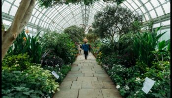 Zaļie brīnumi: dārzu un zaļo zonu no jauna atklāšana