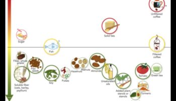 Dzīvesveida diētas un asins lipīdu profili: visaptverošs skatījums