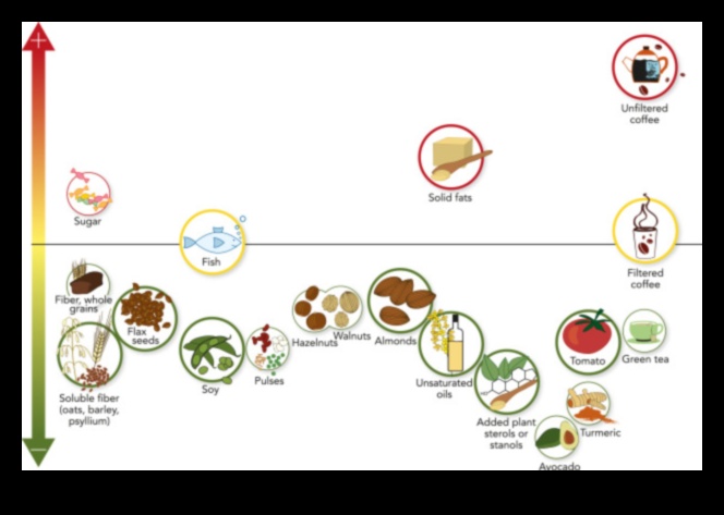 Dzīvesveida diētas un asins lipīdu profili: visaptverošs skatījums