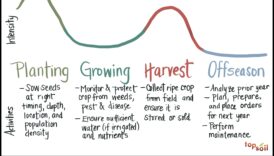 Kā lauksaimniecības ainavas mainās visu sezonu laikā?