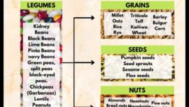 Olbaltumvielu mītu un patiesību apvienošana veģetārajā diētā