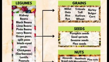 Olbaltumvielu mītu un patiesību apvienošana veģetārajā diētā