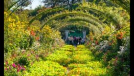 Mūžīgs skaistums: vēsturiski dārzi visos kontinentos