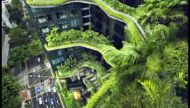 Kādi ir zaļo pilsētas ainavu ieguvumi videi?