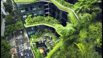 Kādi ir zaļo pilsētas ainavu ieguvumi videi?